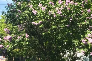 242 Pleasant St, Leominster, MA 01453 - Photo 25