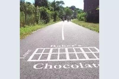 1241-1255 Adams #F213, Boston, MA 02124 - Photo 23