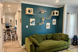 5 Tilton St, New Bedford, MA 02740 - Photo 11