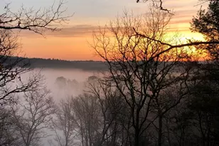 185 Black Cat Rd, Plymouth, MA 02360 - Photo 33