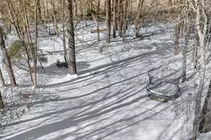 47 Dover Rd, Westwood, MA 02090 - Photo 37