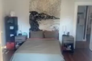 19 Wolcott St, Boston, MA 02121 - Photo 7