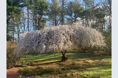 5 Cobblers Ln, Ipswich, MA 01938 - Photo 33