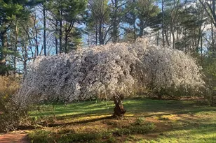 5 Cobblers Ln, Ipswich, MA 01938 - Photo 33