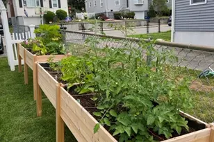 41 Vogel St, Boston, MA 02132 - Photo 37