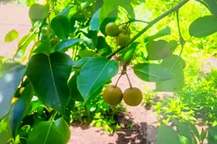 463 Holtshire Rd, Orange, MA 01364 - Photo 13