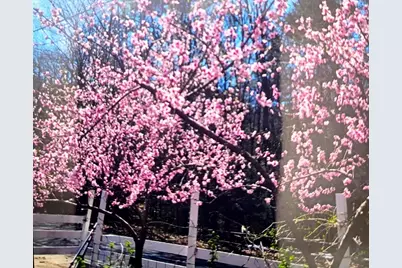 463 Holtshire Rd, Orange, MA 01364 - Photo 15