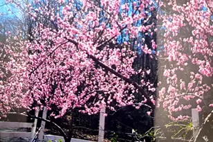 463 Holtshire Rd, Orange, MA 01364 - Photo 15