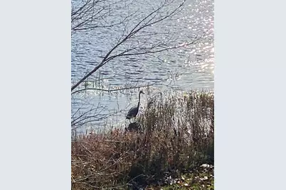 864 South Rd, Ashby, MA 01431 - Photo 31