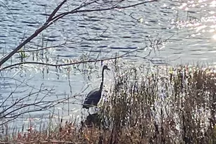 864 South Rd, Ashby, MA 01431 - Photo 31