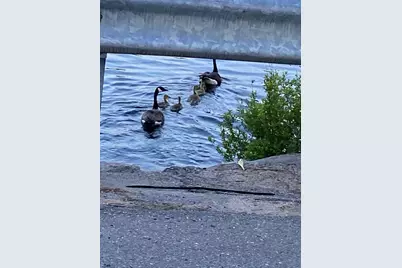 864 South Rd, Ashby, MA 01431 - Photo 25