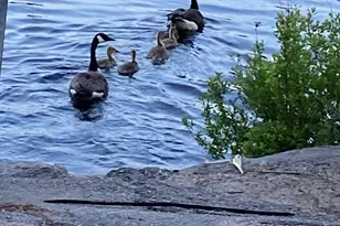 864 South Rd, Ashby, MA 01431 - Photo 25