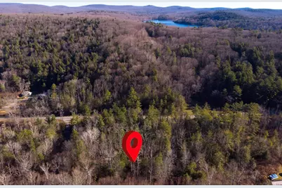 0 Goose Pond Road, Tyringham, MA 01264 - Photo 3