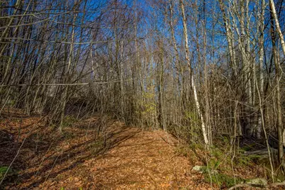 0 Goose Pond Road, Tyringham, MA 01264 - Photo 1