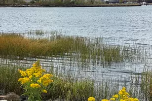 207 Trenton St, Boston, MA 02128 - Photo 17