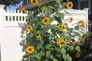 259 Washington St, Winchester, MA 01890 - Photo 39