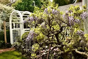 506 Main St, Hanover, MA 02339 - Photo 33