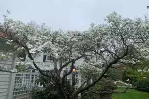 506 Main St, Hanover, MA 02339 - Photo 31