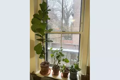 68 Myrtle Street #3, Boston, MA 02114 - Photo 11