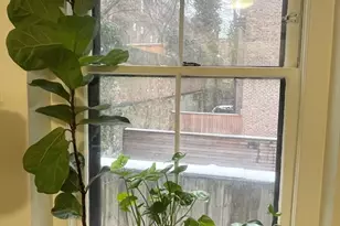 68 Myrtle St, Boston, MA 02114 - Photo 11