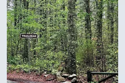 3 Niantic Street, Medfield, MA 02052 - Photo 41