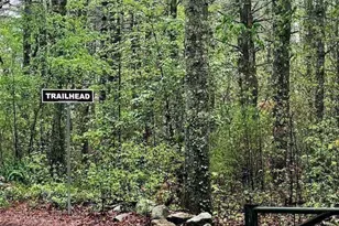 3 Niantic St, Medfield, MA 02052 - Photo 41