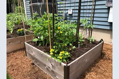 81 Parish Rd, Needham, MA 02494 - Photo 41