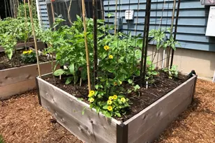 81 Parish Rd, Needham, MA 02494 - Photo 41