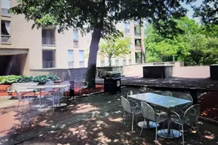 77 Pond Ave, Brookline, MA 02445 - Photo 13