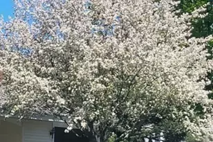 12 Tulane Rd, Danvers, MA 01923 - Photo 25