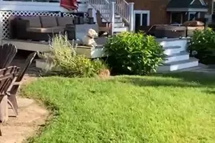 27 Lower Dam Way, Dunstable, MA 01827 - Photo 39