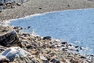 9 C St, Hull, MA 02045 - Photo 39