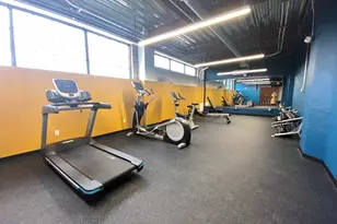 151 Chestnut, Springfield, MA 01103 - Photo 9