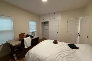 20 Pompeii St, Boston, MA 02119 - Photo 3