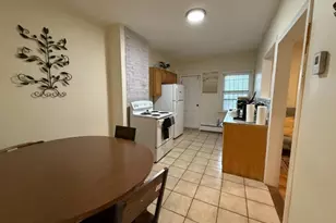 20 Pompeii St, Boston, MA 02119 - Photo 7