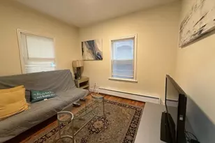 20 Pompeii St, Boston, MA 02119 - Photo 1