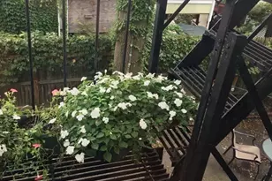 426 East Sixth Street South Boston, Boston, MA 02127 - Photo 7