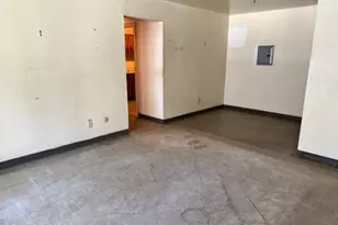 38 Juniper, Brookline, MA 02445 - Photo 7