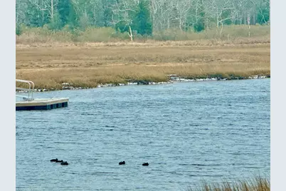 4 Roosevelt St, Wareham, MA 02571 - Photo 19