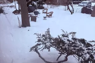 74 Morse St, Watertown, MA 02472 - Photo 11