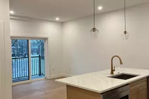 10 Rockland St, Boston, MA 02119 - Photo 3