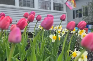 71 Washington St, Greenfield, MA 01301 - Photo 1