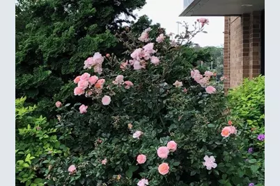 2400 Beacon #102, Boston, MA 02467 - Photo 5