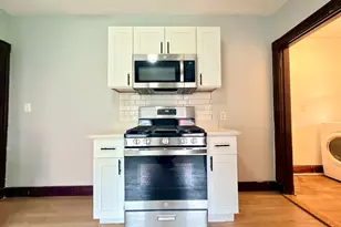 18 Harold Park, Boston, MA 02119 - Photo 39