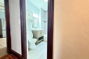 18 Harold Park, Boston, MA 02119 - Photo 29