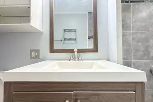 18 Harold Park, Boston, MA 02119 - Photo 31