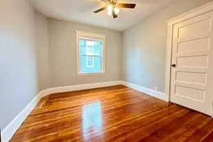 18 Harold Park, Boston, MA 02119 - Photo 13