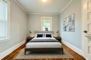 18 Harold Park, Boston, MA 02119 - Photo 25