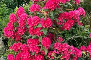 13 Leslie O Johnson Rd, Gloucester, MA 01930 - Photo 35