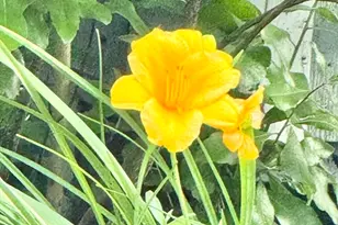 12 Wintergreen Rd, Mashpee, MA 02649 - Photo 31